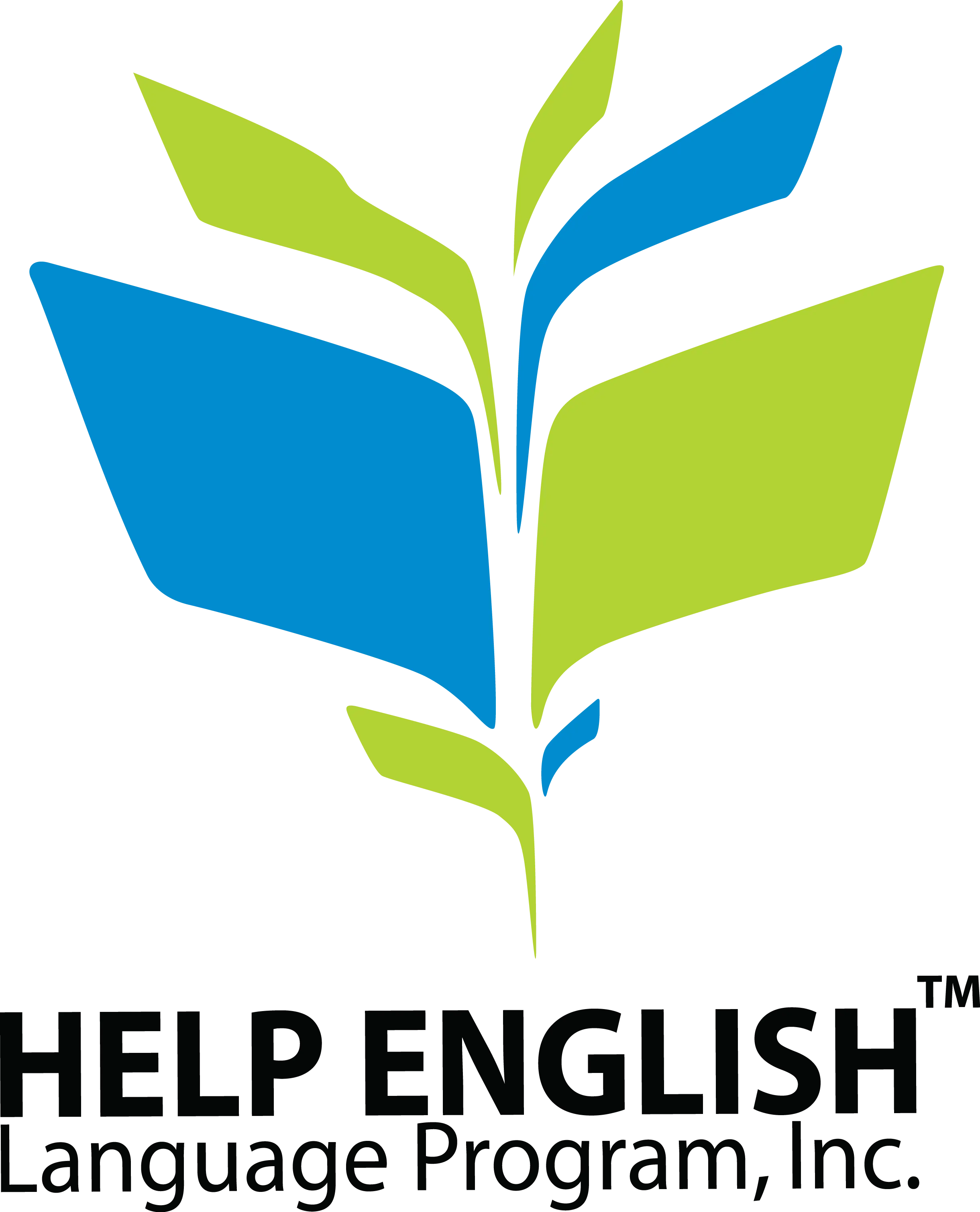 Trường quốc tế